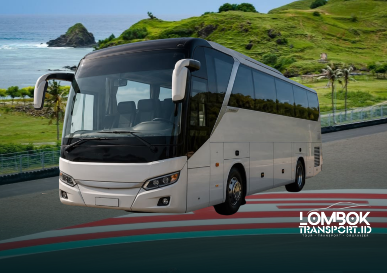 MEDIUM BUS PARIWISATA